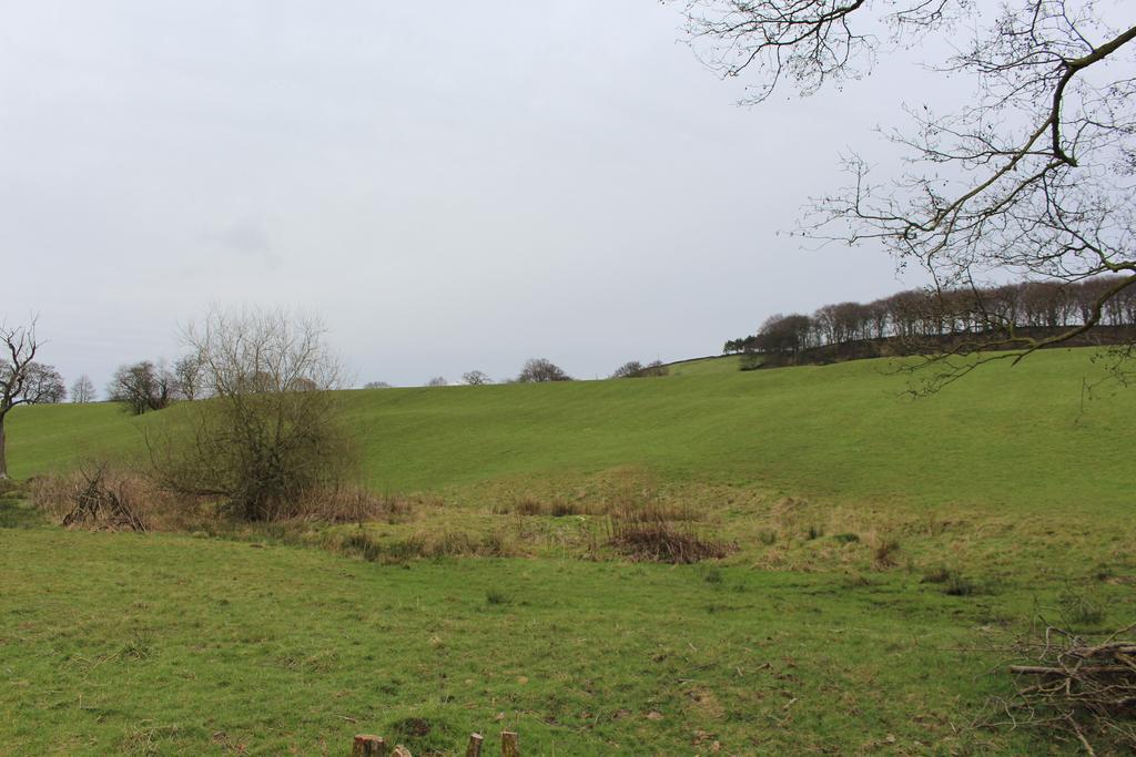 Ladygate Farm B And B Birch Vale Exteriör bild